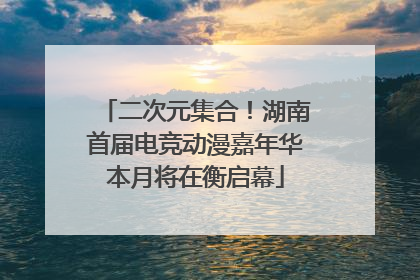 二次元集合！湖南首届电竞动漫嘉年华本月将在衡启幕