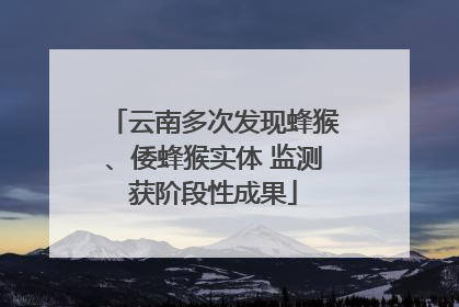 云南多次发现蜂猴、倭蜂猴实体 监测获阶段性成果