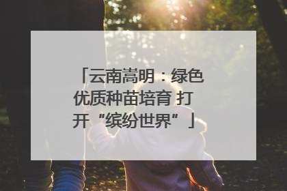 云南嵩明：绿色优质种苗培育 打开“缤纷世界”