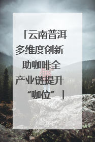 云南普洱多维度创新 助咖啡全产业链提升“咖位”