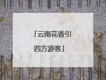 云南花香引四方游客