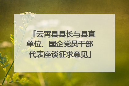 云霄县县长与县直单位、国企党员干部代表座谈征求意见