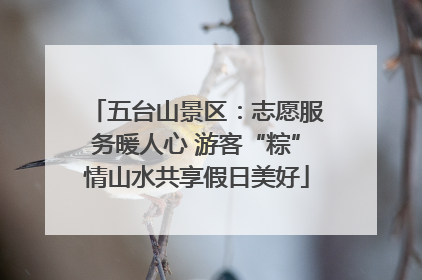五台山景区：志愿服务暖人心 游客“粽”情山水共享假日美好