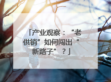 产业观察：“老供销”如何闯出“新路子”？