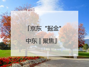 京东“掘金”中东｜聚焦