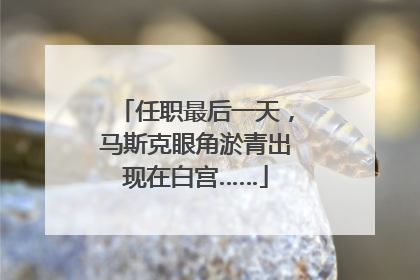 任职最后一天，马斯克眼角淤青出现在白宫……