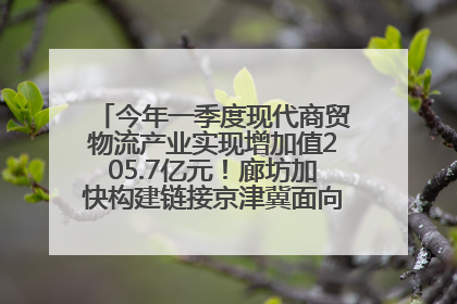 今年一季度现代商贸物流产业实现增加值205.7亿元！廊坊加快构建链接京津冀面向全世界的物流通道