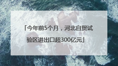 今年前5个月，河北自贸试验区进出口超300亿元