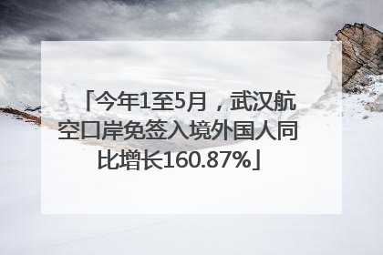 今年1至5月，武汉航空口岸免签入境外国人同比增长160.87%