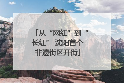 从“网红”到“长红” 沈阳首个非遗街区开街