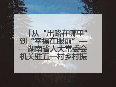 从“出路在哪里”到“幸福在眼前”——湖南省人大常委会机关驻五一村乡村振兴帮扶工作队书写振兴答卷