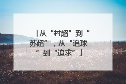 从“村超”到“苏超”，从“追球”到“追求”