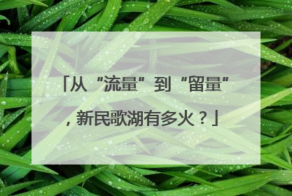从“流量”到“留量”，新民歌湖有多火？