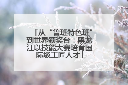 从“鲁班特色班”到世界领奖台：黑龙江以技能大赛培育国际级工匠人才