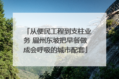 从便民工程到支柱业务 眉州东坡把早餐做成会呼吸的城市配套