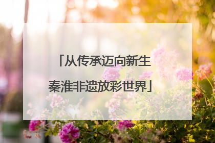从传承迈向新生 秦淮非遗放彩世界