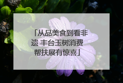 从品美食到看非遗 丰台玉树消费帮扶展有惊喜