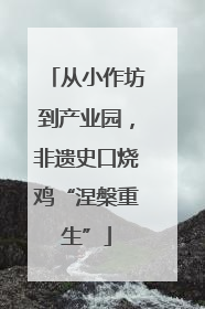 从小作坊到产业园，非遗史口烧鸡“涅槃重生”