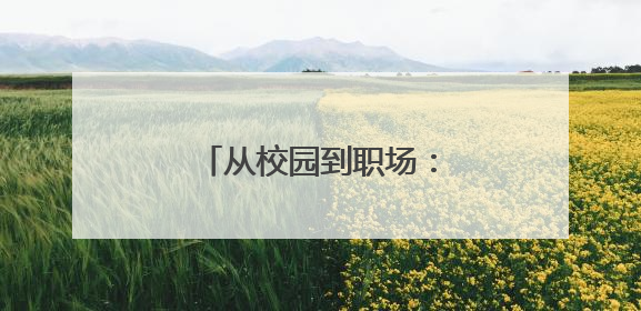 从校园到职场：四川税务护航高校毕业生就业创业