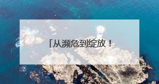 从濒危到绽放！新宁崀山600株“国宝兰”获省级生物保护嘉奖