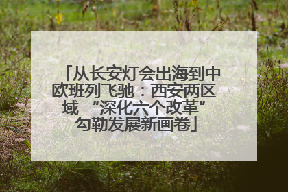 从长安灯会出海到中欧班列飞驰：西安两区域 “深化六个改革” 勾勒发展新画卷