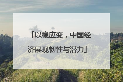 以稳应变，中国经济展现韧性与潜力
