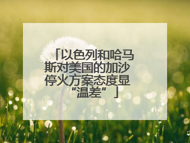 以色列和哈马斯对美国的加沙停火方案态度显“温差”