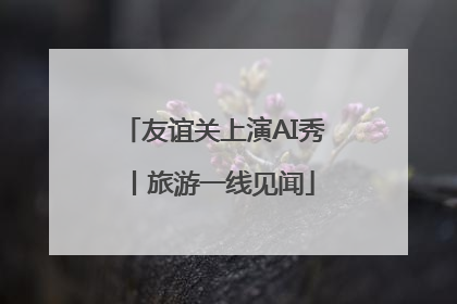 友谊关上演AI秀丨旅游一线见闻