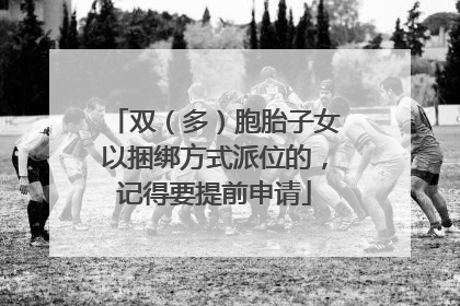 双（多）胞胎子女以捆绑方式派位的，记得要提前申请