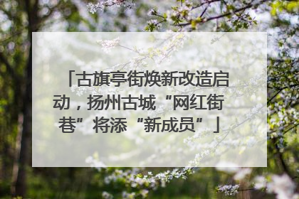 古旗亭街焕新改造启动，扬州古城“网红街巷”将添“新成员”