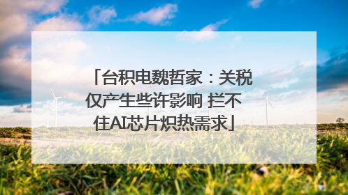 台积电魏哲家：关税仅产生些许影响 拦不住AI芯片炽热需求