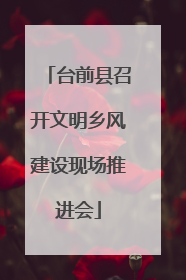 台前县召开文明乡风建设现场推进会