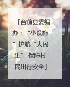 台前县委编办：“小设施”护航“大民生” 保障村民出行安全