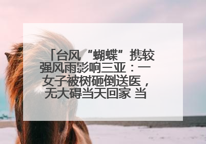 台风“蝴蝶”携较强风雨影响三亚：一女子被树砸倒送医，无大碍当天回家 当地已紧急清障