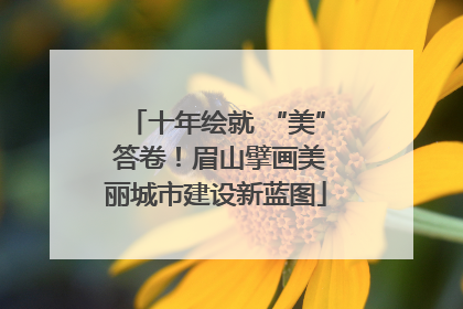 十年绘就 “美” 答卷！眉山擘画美丽城市建设新蓝图