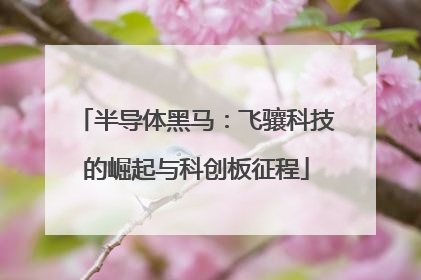 半导体黑马：飞骧科技的崛起与科创板征程