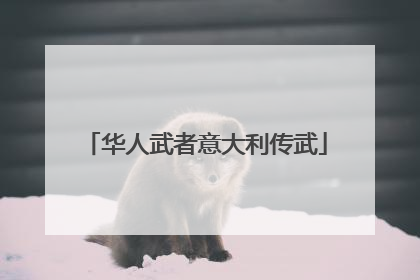 华人武者意大利传武