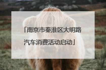 南京市秦淮区大明路汽车消费活动启动