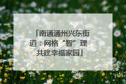 南通通州兴东街道：网格“智”理 共建幸福家园