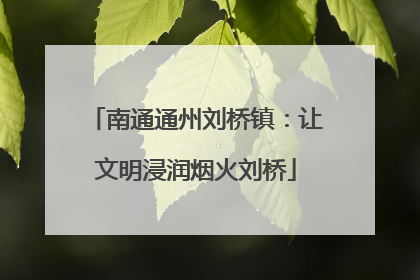 南通通州刘桥镇：让文明浸润烟火刘桥