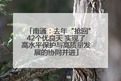 南通：去年“抢回”42个优良天 实现了高水平保护与高质量发展的协同并进