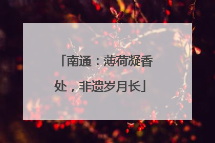 南通：薄荷凝香处，非遗岁月长