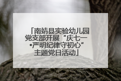 南靖县实验幼儿园党支部开展“庆七一•严明纪律守初心”主题党日活动