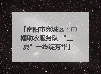 南阳市宛城区：巾帼助农服务队 “三夏”一线绽芳华