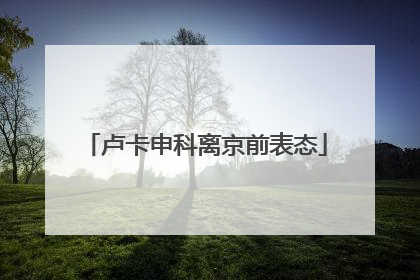 卢卡申科离京前表态