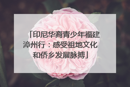 印尼华裔青少年福建漳州行：感受祖地文化和侨乡发展脉搏