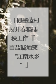 即墨蓝村展开春稻插秧工作 千亩盐碱地变“江南水乡”