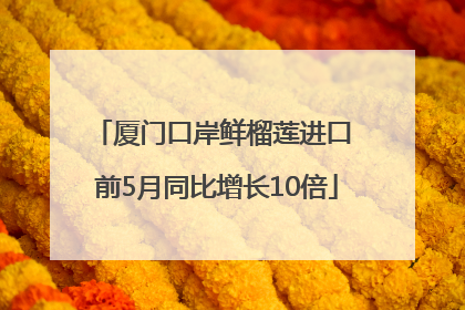 厦门口岸鲜榴莲进口 前5月同比增长10倍