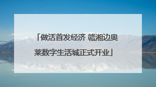 做活首发经济 赣湘边奥莱数字生活城正式开业