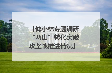 傅小林专题调研“两山”转化突破攻坚战推进情况